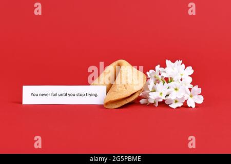 Text 'You never fail until you stop trying' next to fortune cookie and flowers. Motivational concept Stock Photo