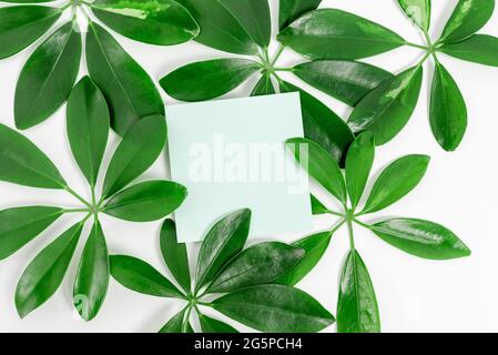 Nature Theme Presentation Ideas Designs, Displaying Renewable Materials, Creating Sustainable Products, Organic Materials, Gardening Design Planning Stock Photo