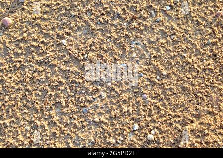 The texture of the many layers of sandy rock under the ground: clay, sand, pebbles, small stones, in the clay quarry resulting from the excavation of Stock Photo