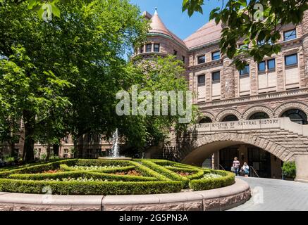 American Museum of Natural History is located on the Upper West Side in New York City, USA Stock Photo
