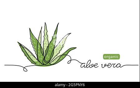 Aloe vera plant sketch, simple vector illustration, background, label design. One continuous line drawing art illustration with lettering organic aloe Stock Vector