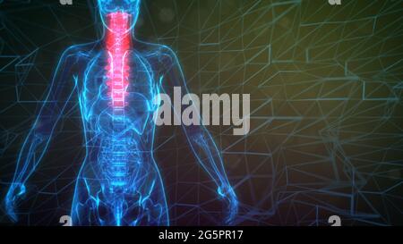 Cervical, top part of vertebra on x-ray organism, cg medicine 3d illustration Stock Photo