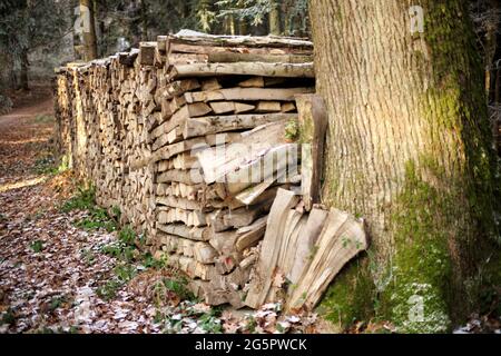 Schwarzwald, Black Forest, Baden Baden, Germany Stock Photo