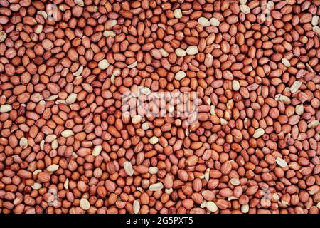 Raw Peanuts Without Shell A pile of peeled raw peanuts. Peanuts without shells, peeled raw ...