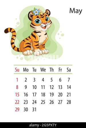 Wall calendar design template for may 2022, year of Tiger according to the Chinese or Eastern calendar. Animal character. Vector illustration. Week st Stock Vector