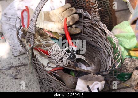 basket with gardening tools after use, Germany Stock Photo