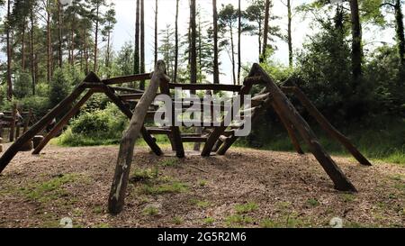 Still life photography, nature life, quiet life, Trees Flowers Woods Stock Photo