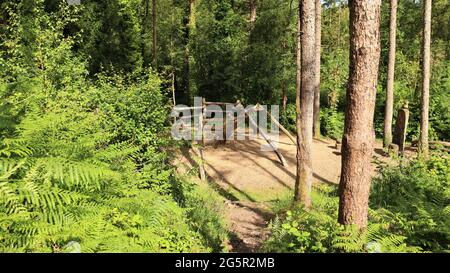 Still life photography, nature life, quiet life, Trees Flowers Woods Stock Photo