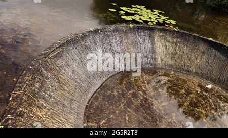 Still life photography, nature life, quiet life, Trees Flowers Woods Stock Photo