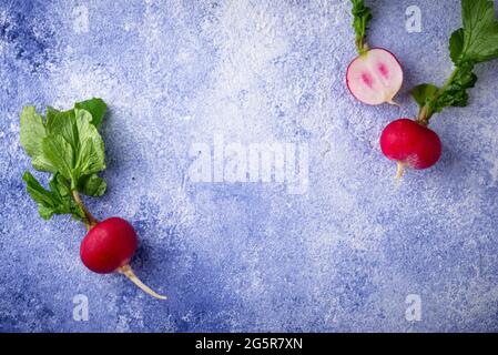 Radish on blue concrete backgrounds Stock Photo