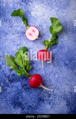 Radish on blue concrete backgrounds Stock Photo