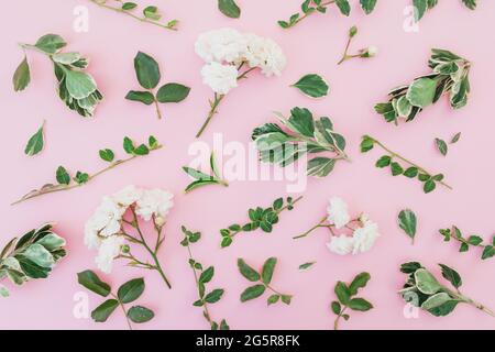Pattern made of white roses flowers with green leaves on pink background. Flat lay, Top view Stock Photo