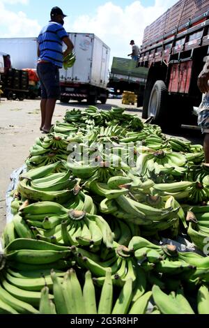 salvador, bahia, brazil - june 28, 2021: Banana for sale at Feira de Sao Joaquim in Salvador city. *** Local Caption *** Stock Photo