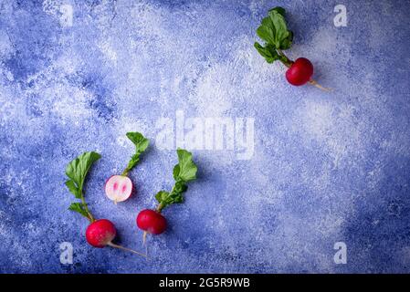 Radish on blue concrete backgrounds Stock Photo