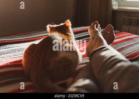 lying and relaxing in bed with cat Stock Photo
