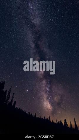 Colorful Milky Way Galaxy in Night Sky Over Tree Silhouettes Stock Photo