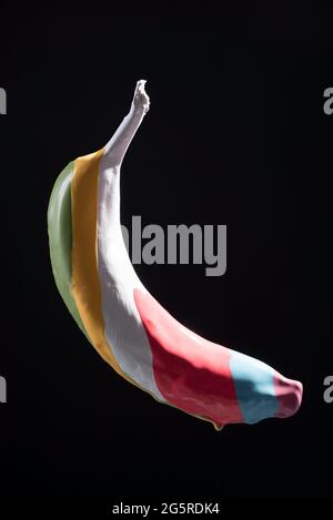 multicolored paint on banana stripes, levitation of multicolored banana on black background. Stock Photo