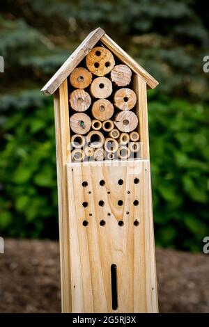 Stackable Insect Boxes Insect box attracts beneficial insects to a garden Stock Photo - Alamy