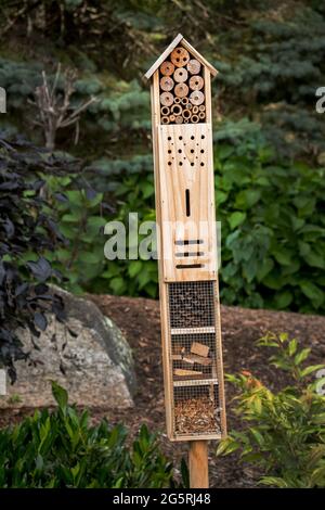 Stackable Insect Boxes Insect box attracts beneficial insects to a garden Stock Photo - Alamy