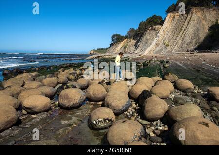 USA, California,North Coast, Mendocino County, Salt Point State Park, Schooner Gulch State Beach, Bowling Ball Beach Stock Photo