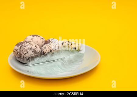 Easter eggs in multi-colored feathers on a yellow background, postcard for Easter, print congratulations on Easter, place to insert text Stock Photo