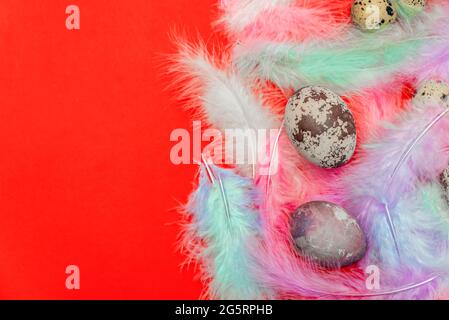 Easter eggs in multi-colored feathers on a red background, postcard for Easter, print congratulations on Easter, place to insert text. Stock Photo