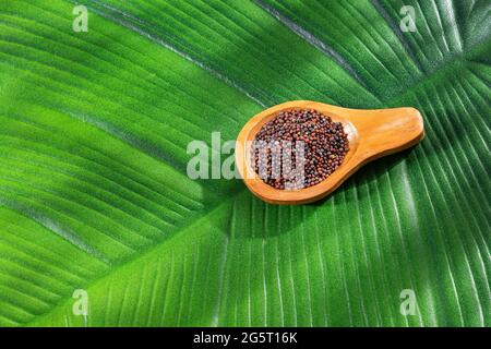 Dark brown mustard seeds in the wooden spoon Stock Photo