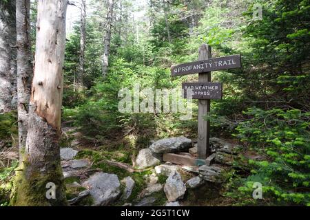 mount mansfield, highest point of Vermont 2021 Stock Photo