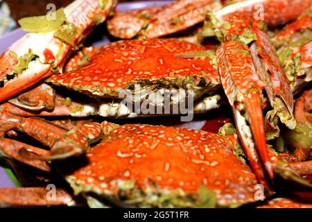 Steamed blue crabs in a cooking pot, lovely seafood with spicy sauce, hot steamed crabs ready to be served Stock Photo