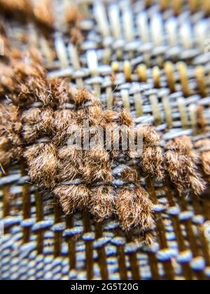 Close-up of the texture of the fabric. Old upholstery furniture. Stock Photo