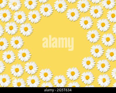 Chamomile Template for posters and banners with copy space Round composition with chamomiles on yellow backdrop Stock Photo