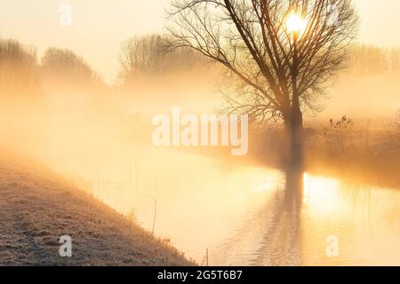 morning in de Drie Mussen nature area, Belgium, West Flanders, De Drie Mussen, Diksmuide Stock Photo