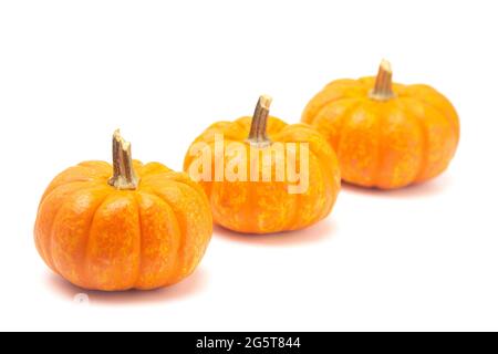 Three Small Decorative Pumpkins on a White Background Stock Photo