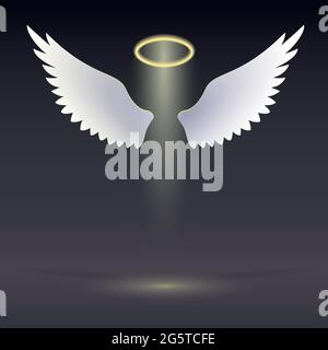 Wings and golden halo. Stock Vector