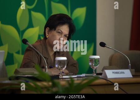 Jakarta, Indonesia. 7th April 2008. The United Nation's Millenium Development Goals (MDG) Special Ambassador for Indonesia, Dr. Erna Witoelar, during a media and public seminar held in Leimena Room at the Indonesian Ministry of Health office building complex. The seminar is a part of a series of event celebrating the 2008 World Health Day in Jakarta, Indonesia. The theme for the 2008 celebration is 'protecting health from climate change'. Stock Photo