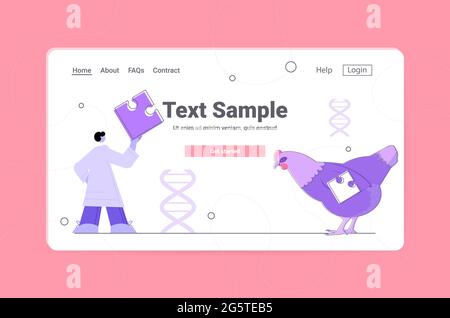 scientist working with DNA of chicken researcher making experiment in lab genetically modified animals concept Stock Vector