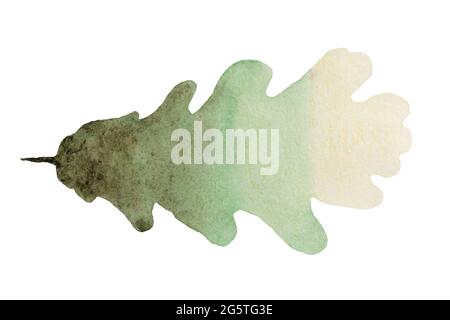 Green gradient autumn oak leaf painted in watercolor isolated on white background. Stock Photo