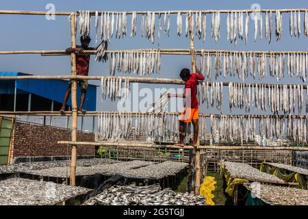 Bangladesh, Chittagong: Dry Fish Field on Karnaphuli River bank, Chittagong, Bangladesh, on 4 December, 2020. Stock Photo