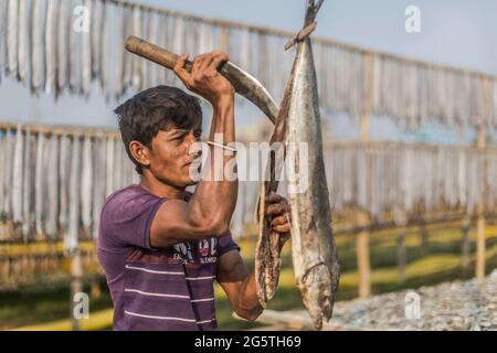 Bangladesh, Chittagong: Dry Fish Field on Karnaphuli River bank, Chittagong, Bangladesh, on 4 December, 2020. Stock Photo