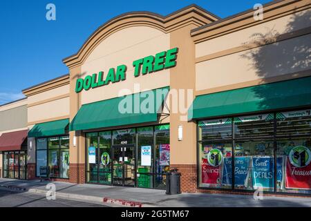 Dollar Tree extreme discount store, where everything is $1 or less, in Loganville, Georgia. (USA) Stock Photo