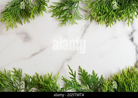 Frame made of white cedar thuja branches on white marble background, flat lay. Mockup card with copy space Stock Photo
