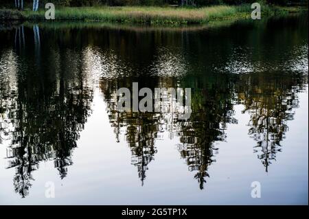 Am Etang de la Gruère in der Gem. Saignelégier am 18.09.20. Stock Photo