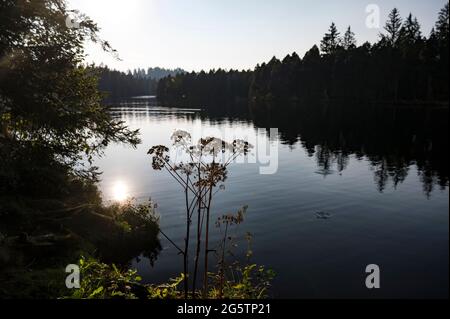 Am Etang de la Gruère in der Gem. Saignelégier am 18.09.20. Stock Photo