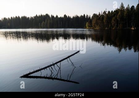 Am Etang de la Gruère in der Gem. Saignelégier am 18.09.20. Stock Photo