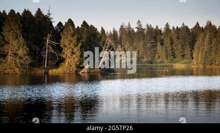 Am Etang de la Gruère in der Gem. Saignelégier am 18.09.20. Stock Photo