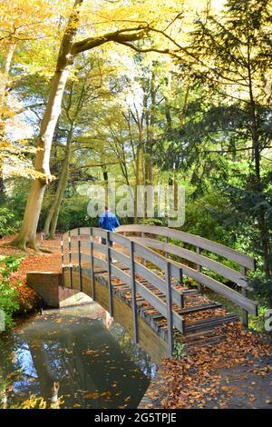 BELGIUM. ANTWERPEN. THE MIDDELHEIM OPEN AIR SCULPTURE MUSEUM, OPEN IN 1951 AT BERCHEM, IS A SCULPTURE PARK WITH A LOT OF MODERN WORKS SUCH AS THIS BRI Stock Photo