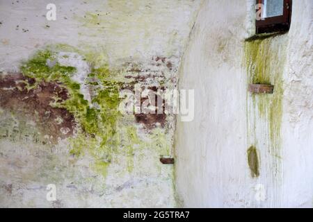 Moldy stone wall through damp walls structure photographed in daylight Stock Photo