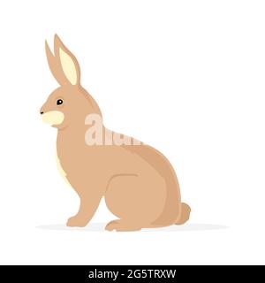 Cute brown rabbit bunny rodent cartoon isolated on white background. Stock Vector