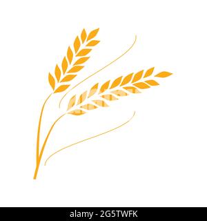 Agriculture wheat Logo Template vector icon Stock Vector