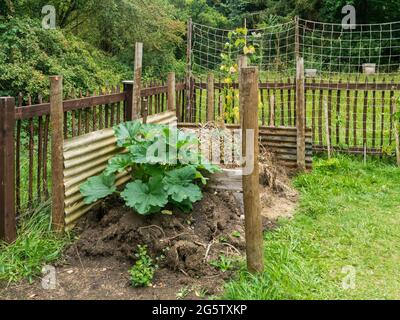 Compost heap featuring in a recreation of a 1950s allotment for an exhibition in the grounds of Compton Verney House, Warwickshire, UK Stock Photo